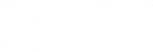 Centro de Investigaciones y Estudios de la Salud
